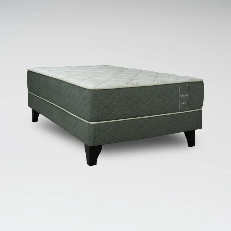 Cama Europea Naturals Aloe Vera 1.5 Plazas Base Normal 105 x 190 cm