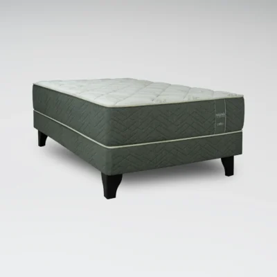 Cama Europea Naturals Aloe Vera 1.5 Plazas Base Normal 105 x 190 cm