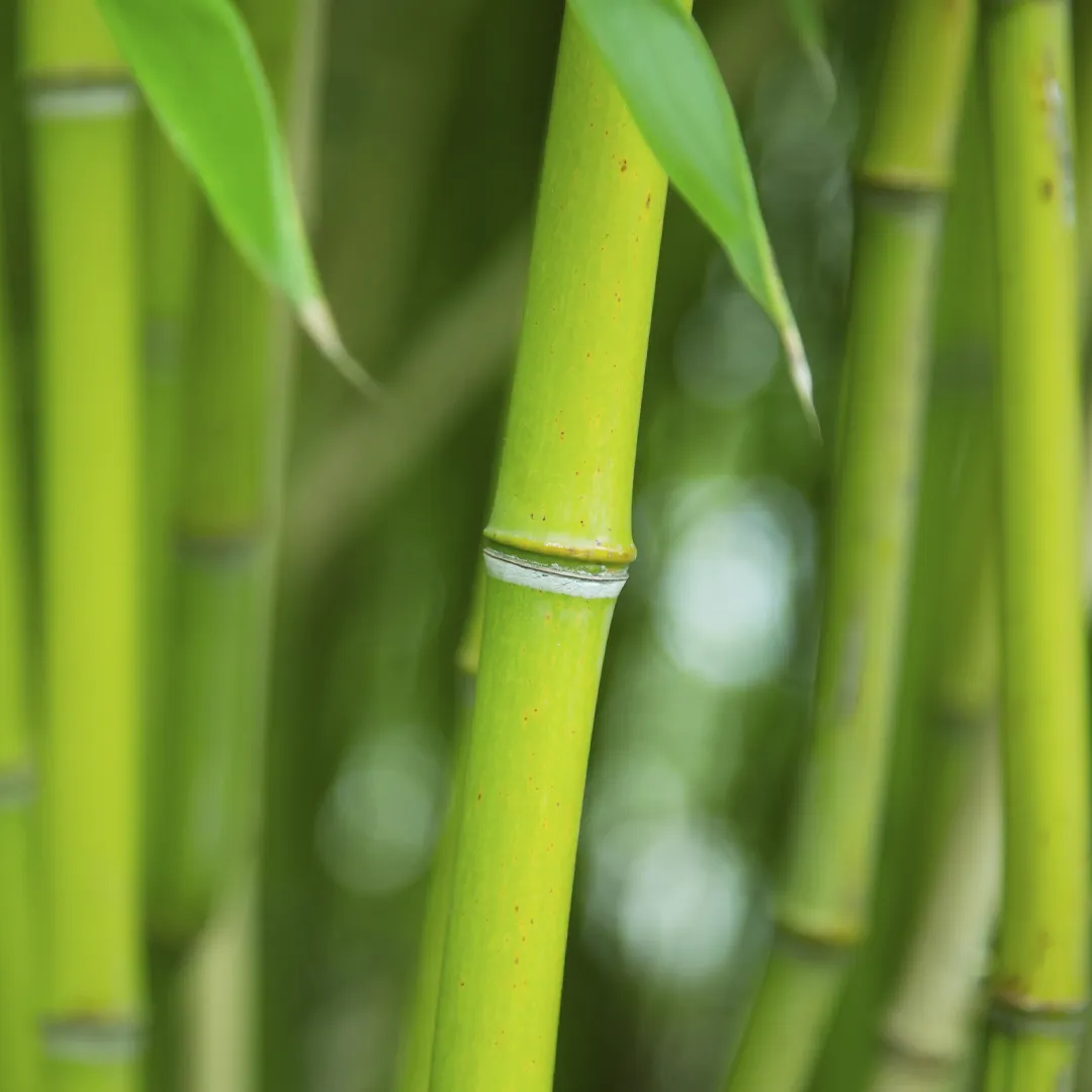 Colchón con tela de punto y fibras de bamboo